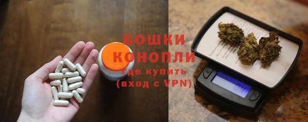 крисы Верея