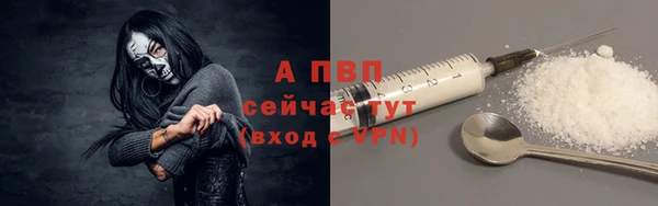 крисы Верея