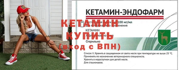 крисы Верея